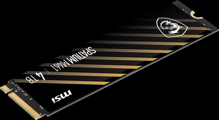 Immagine prodotto MSI Spatium M461 (4000 GB, M.2 2280)