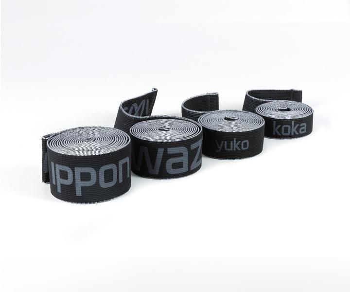 Produktbild Flexvit Sparring 4er Set "all-in" (Stark, Mittel, Extra Stark, Leicht)