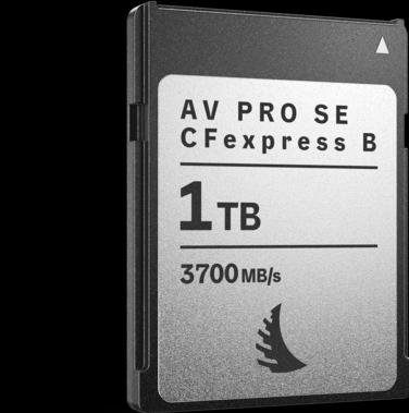 Angelbird AV PRO SE CFexpress B (1000 GB, CFexpress Typ B)