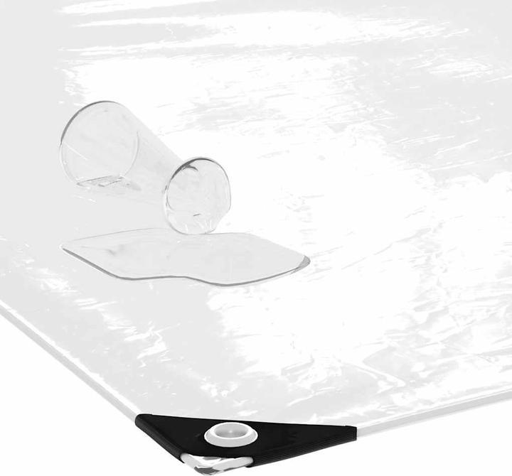 Image du produit VidaXL Bâche transparente avec oeillets 8x8 m PVC bâche transparente