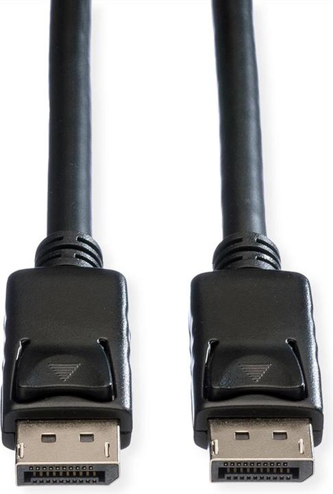 Immagine prodotto Roline DisplayPort — DisplayPort (1.50 m, DisplayPort)