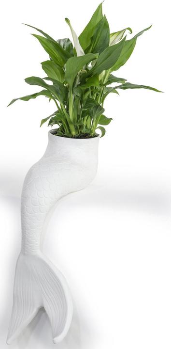 Bitten Sirena vaso di fiori (16 cm)