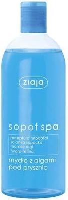 Actual product image Ziaja Sopot Spa Shower Gel (500 ml)
