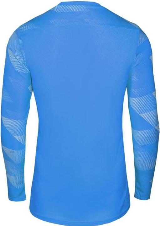 Produktbild Nike Park Iv Tw-Trikot Langarm (S)