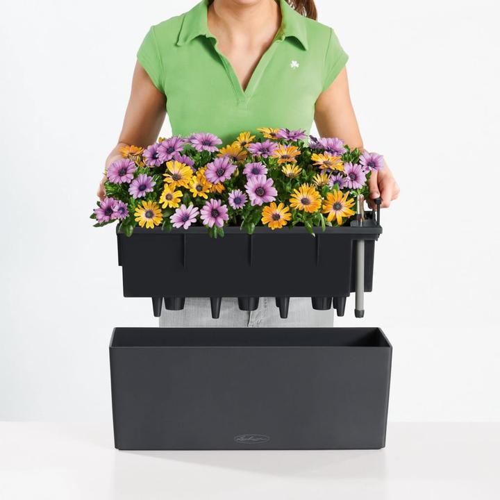 Produktbild Lechuza Balconera Color (19 cm)
