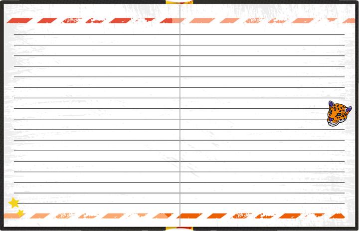 Produktbild Tagebuch: STOP - Top Secret (15 x 19 cm, Deutsch)