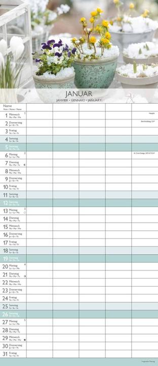 Produktbild Alpha Edition Gärten 2025 Familienplaner, 19,5x45cm, Familienkalender mit 5 Spalten für Termine (Harter Einband, Deutsch)