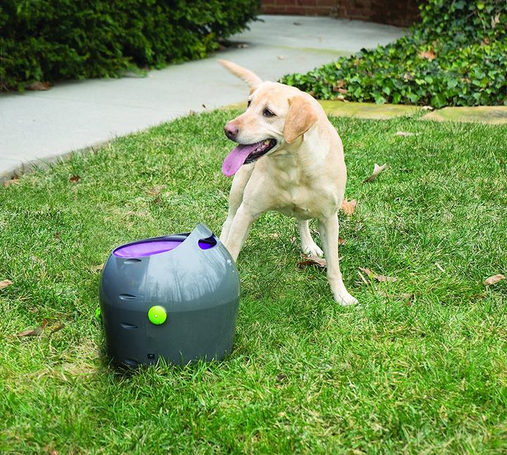 Immagine prodotto PetSafe Lanciatore di palle (Palla giocattolo per cani)