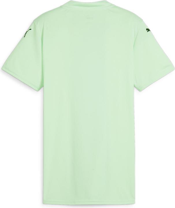 Image du produit Puma teamGLORY Jersey Wmns (XL)