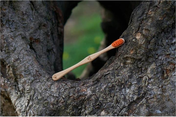 Immagine prodotto Liebwerk Spazzolino da denti in legno per bambini Fox (Morbido, 1 x)