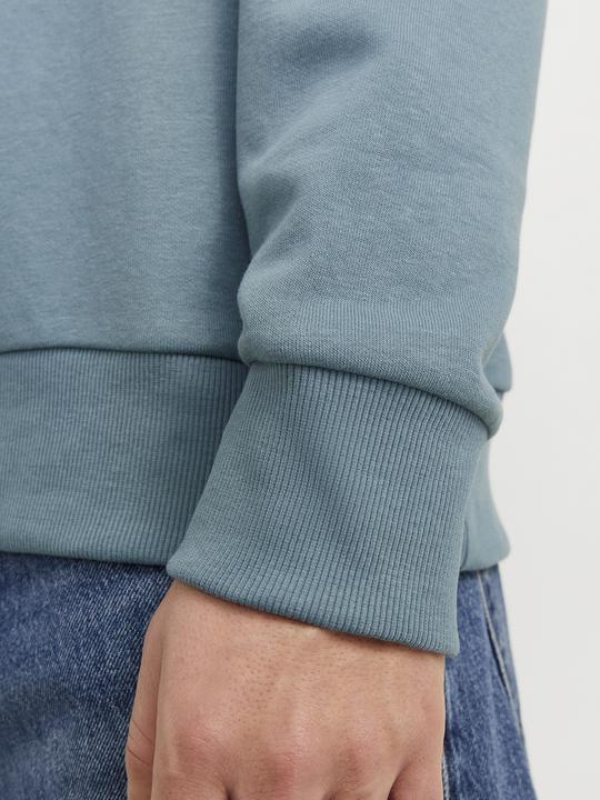Actual product image Jack & Jones Logo Kapuzenpullover Kapuzenpullover (S)