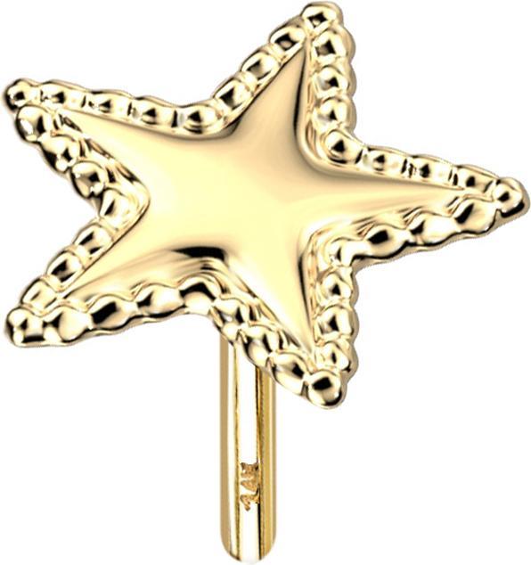 Star Piercing Threadless 14k gold Stern mit Kugelrand (14k Gold, ohne Messing)