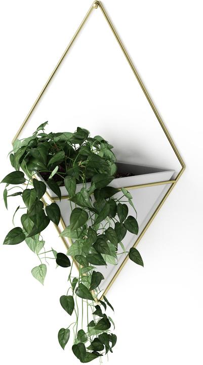 Immagine prodotto Umbra Trig (9.50 cm)