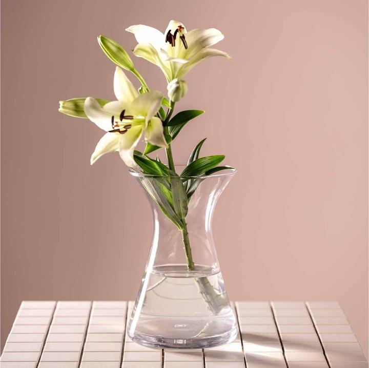 Actual product image Leonardo Vase Gia 23 cm, Transparent (1 x, 16 x 16 x 23 cm, 5.63 l)
