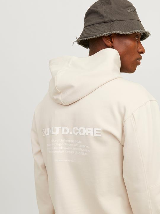 Immagine prodotto Jack & Jones Jcoaero Print Sweat Hood Noos (XS)