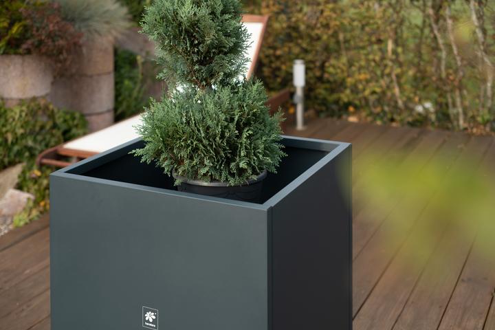Image du produit Herstera Metal Planter Cube (70 cm)