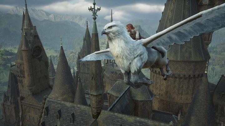 Productafbeelding Warner Bros Hogwarts Legacy (Switch 2, DE)