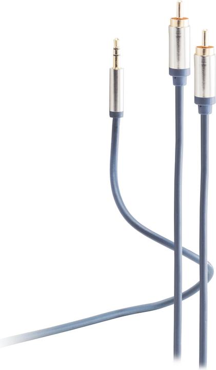 Shiverpeaks Câble audio, 2 x fiches RCA (0.75 m, Jack 3,5 mm (AUX))