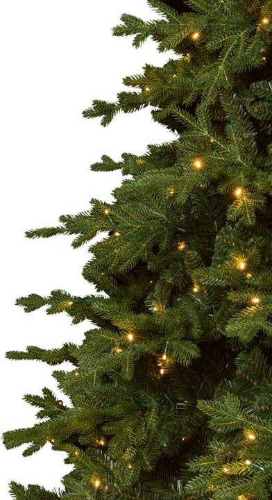 Actual product image STT Tree (220 cm)