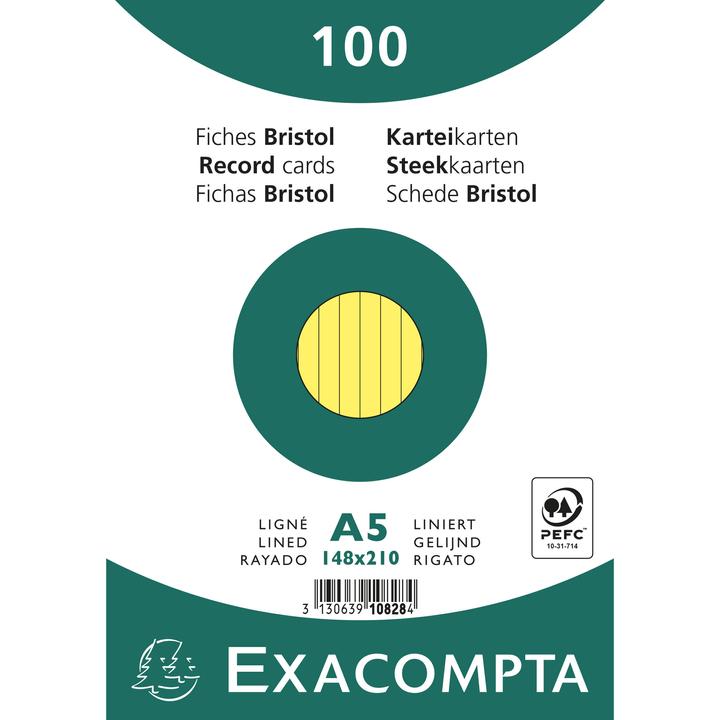 Image du produit Exacompta Fiches (148 x 210 mm, 205 g/m², 100 x)