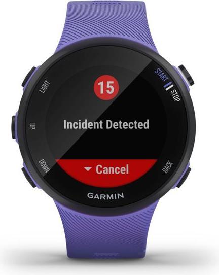 Image du produit Garmin Forerunner 45S (39.50 mm)