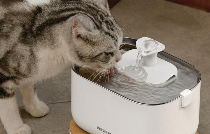 Actual product image Petlibro Dockstream drinking fountain with app (2.50 l)