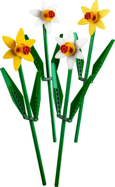 Actual product image LEGO Botanical Collection - Daffodils (40646, LEGO Icons, LEGO Rare Sets)