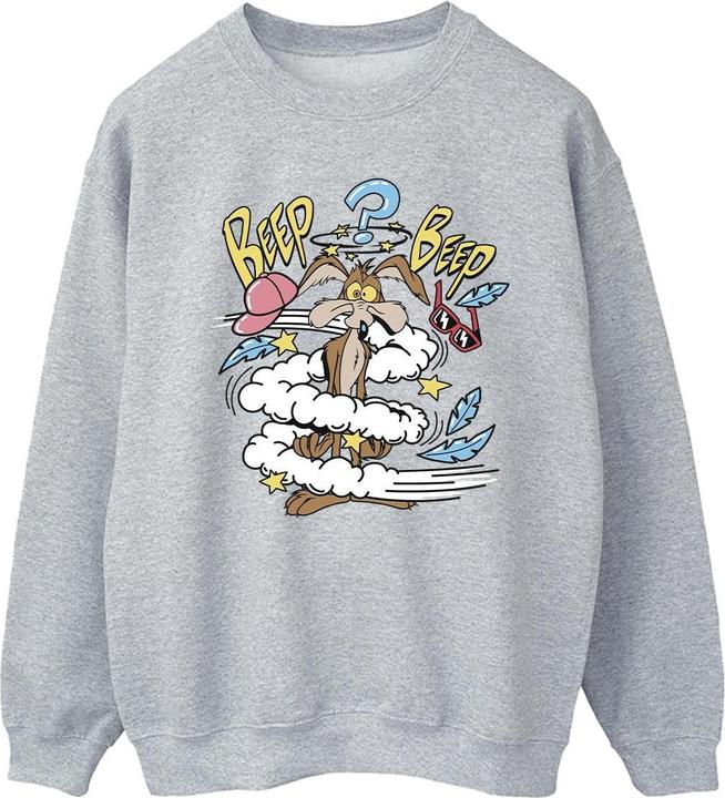 Looney Tunes Coyote Daze Sweatshirt (M)