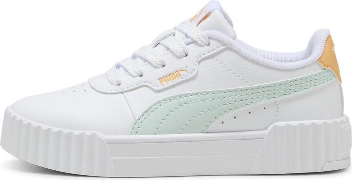 Puma Carina 3.0