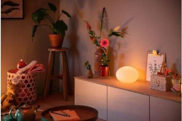 Actual product image Philips Hue Hue Flourish base (806 lm, E27)