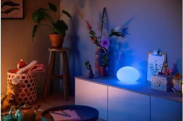 Actual product image Philips Hue Hue Flourish base (806 lm, E27)