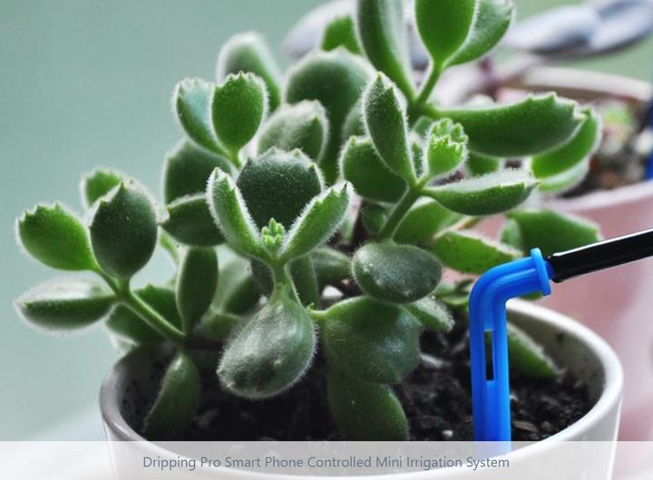 Produktbild Kamoer Dripping Pro Mini Bewässerungssystem
