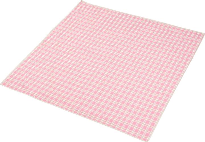 Produktbild Casa.Pro Picknickkorb Bucchianico für 2 Personen Komplettset