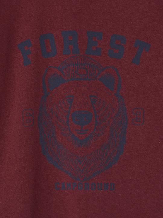 Actual product image Vertbaudet T-Shirt (140)