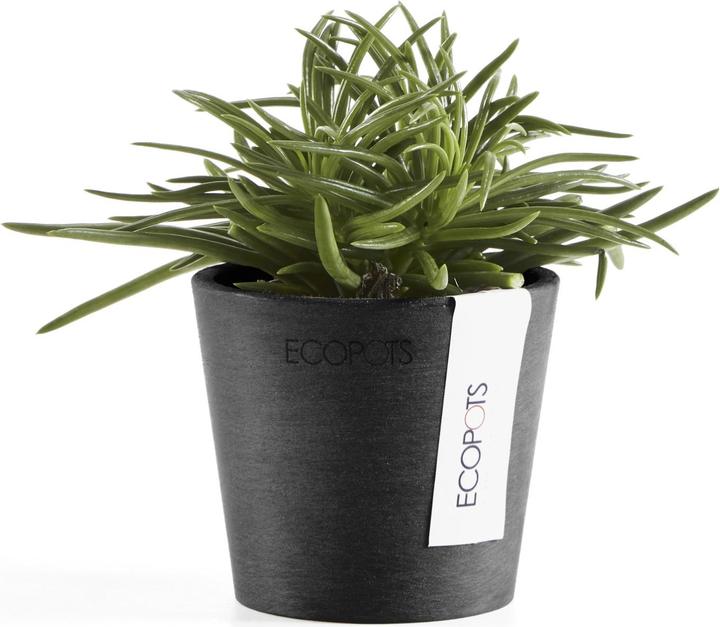 Produktbild Ecopots Amsterdam Mini (8 cm)