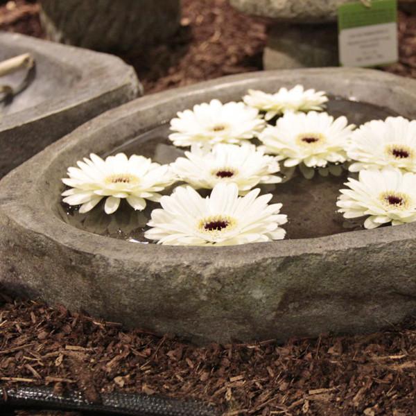 Actual product image Koi-Breeder Stone bowl (40 x 30 x 8 cm)