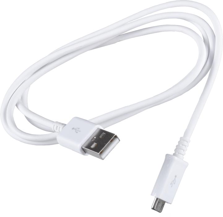 Actual product image Samsung ECB-DU4AWE (1 m, USB 2.0)