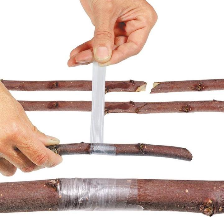 Produktbild Stocker Garden Stocker Buddy Tape ohne Perforierung (500 cm, 2.50 cm)
