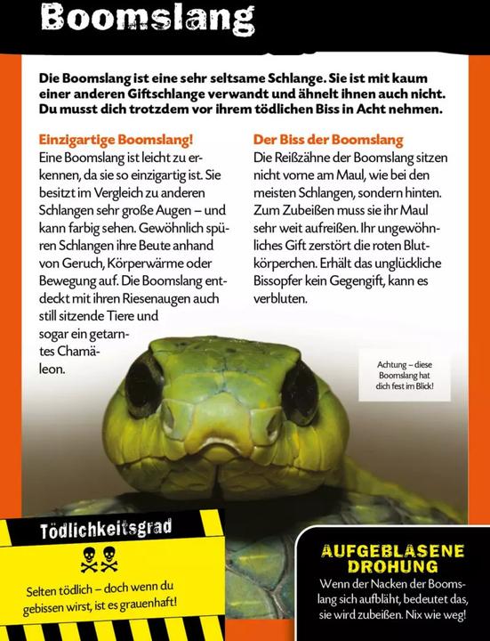 Produktbild Die 100 tödlichsten Dinge der Welt (Deutsch, Anna Claybourne, Petra Bachmann, 2021)