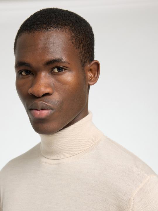 Produktbild Selected Homme Slhtray Ls Knit Merino Roll Neck Noos (XL)