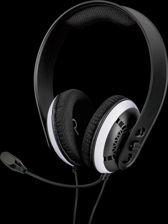 Produktbild Raptor Gaming H200 (Kabelgebunden)