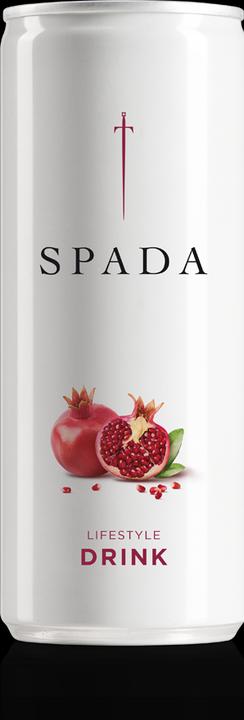 Produktbild Spada Lifestyle DRINK Kiste (24 x 25 cl)