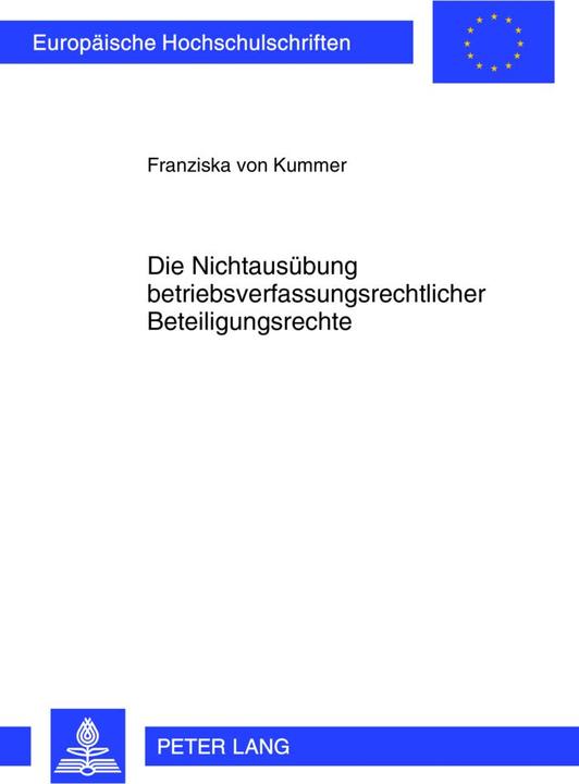 Energie-Label Die Nichtausübung betriebsverfassungsrechtlicher Beteiligungsrechte (Deutsch, Franziska von Kummer, 2013)
