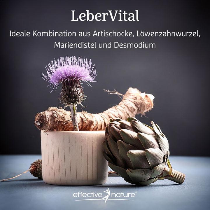Actual product image Effective Nature LeberVital mit Artischocke (90 Piece, Capsules)