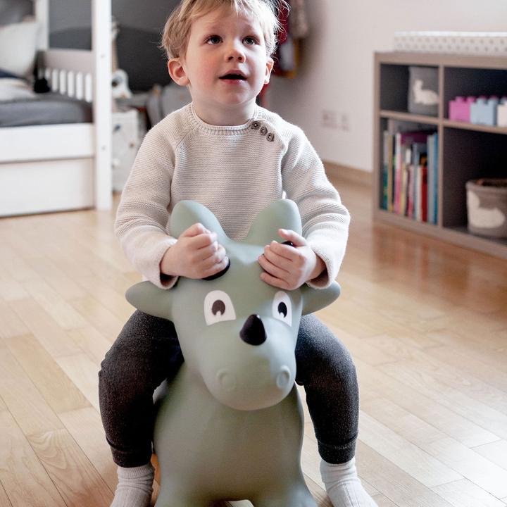Immagine prodotto Kindsgut Dinosaurier