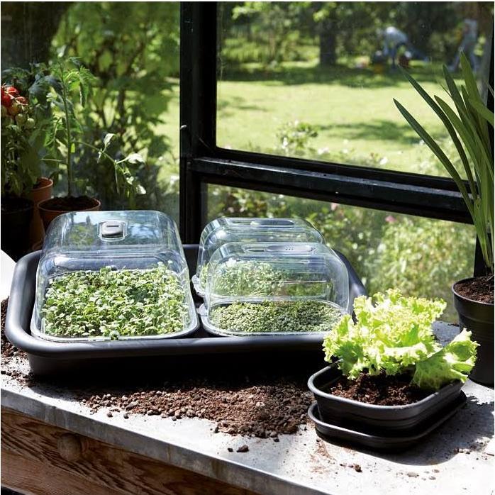 Produktbild Elho Green Basics