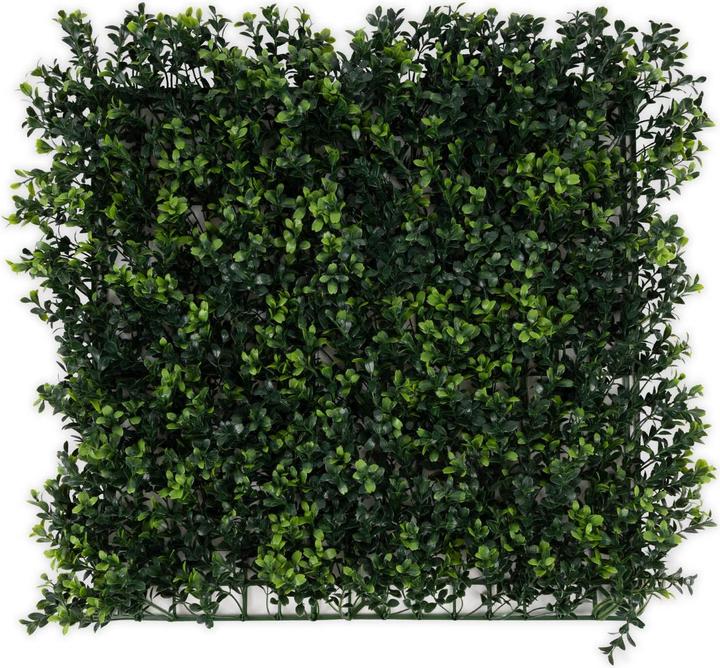 Image du produit Karat Mur de plantes Boxwood (50 cm)