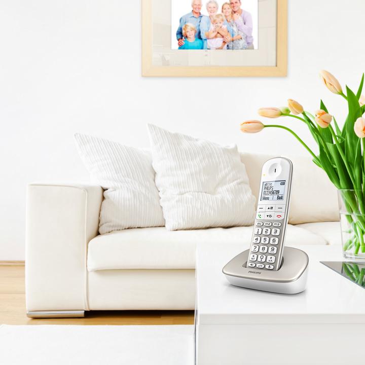 Immagine prodotto Philips TELEFONO FISSO WIRELESS XL4901S/23 ARGENTO