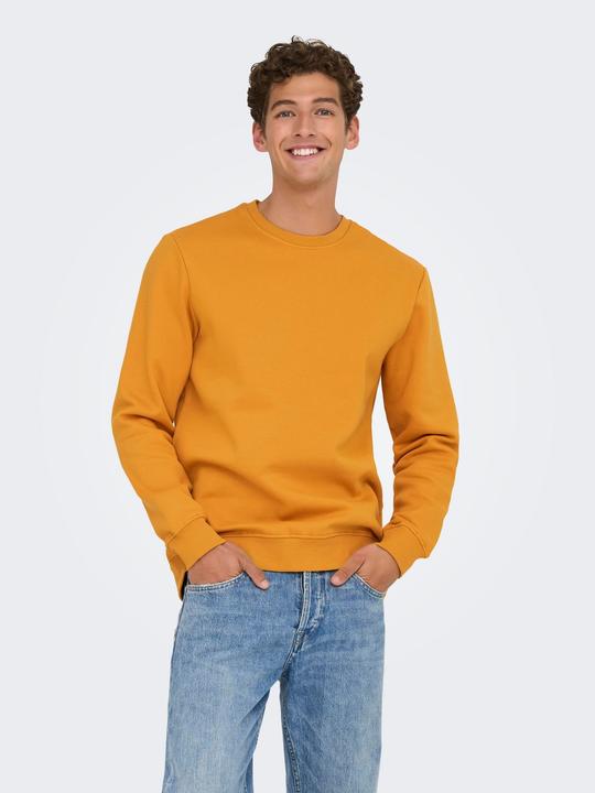 Image du produit Only & Sons Onsconnor Reg Crew Neck Sweat Noos (XL)