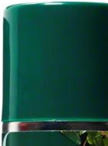 Bosch Home & Garden Spray de soin (250 ml)